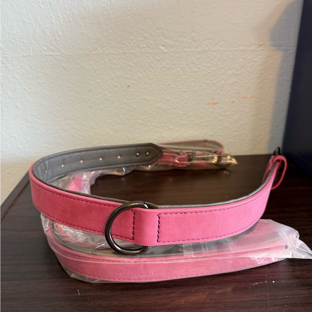 NWT Pink Padded Leather Dog Collar (17”-21”) and Leash